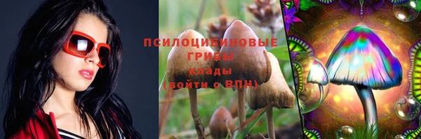 прущие грибы Снежногорск
