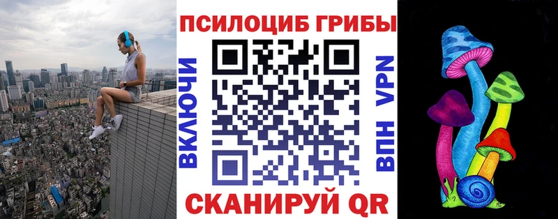 блэк спрут зеркало  Нолинск  Галлюциногенные грибы Psilocybine cubensis 